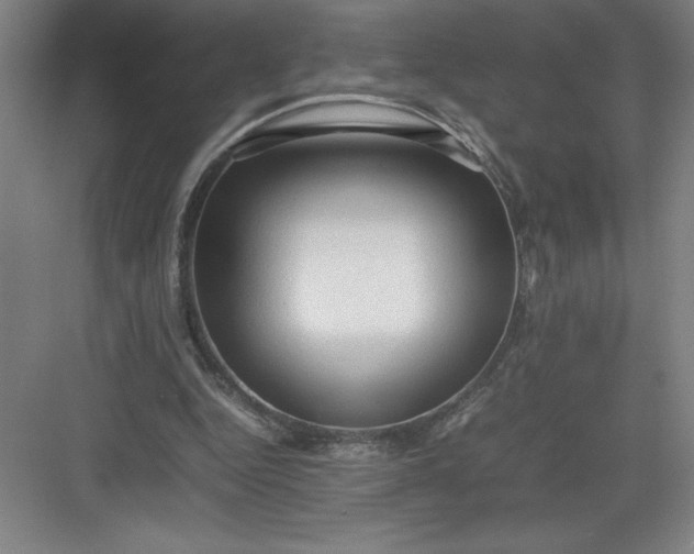 X0000082940344200702152220