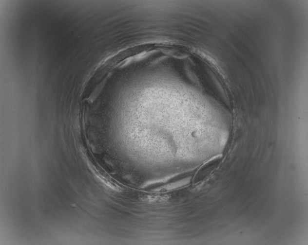 X0000082940345200702152220