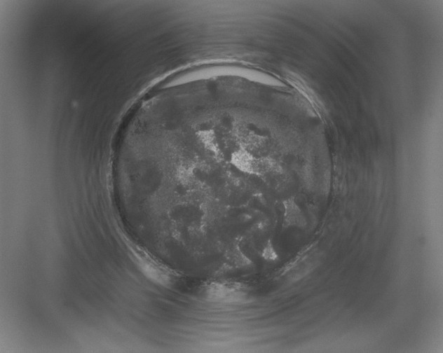 X0000082940346200702152220