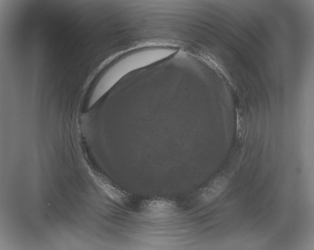 X0000082940348200702152220