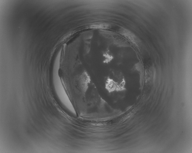 X0000082940349200702152220