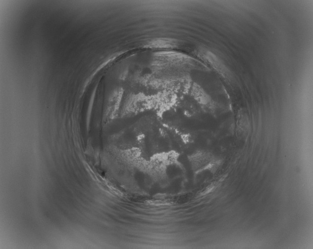 X0000082940351200702152220