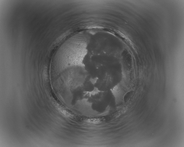 X0000082940353200702152220