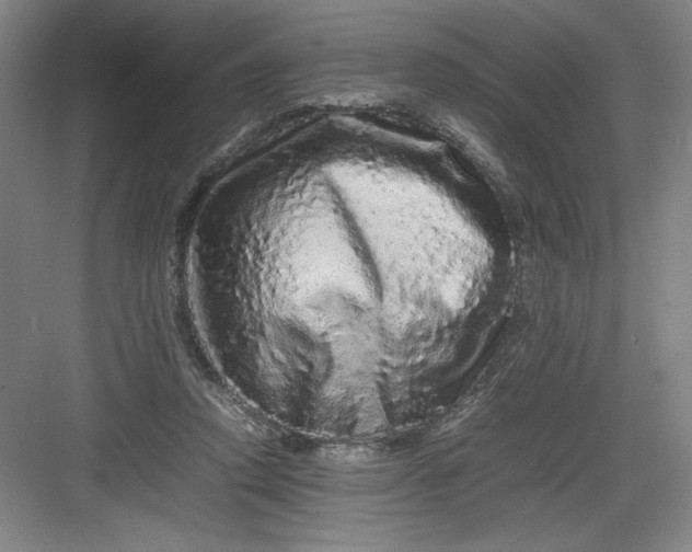 X0000082940354200702152220