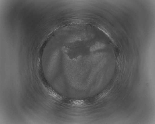 X0000082940355200702152220