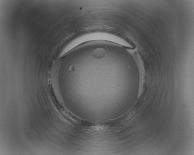 X0000082940356200702152220