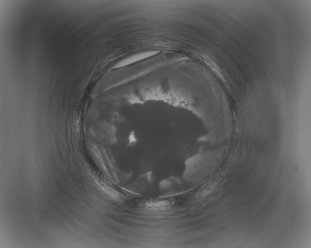 X0000082940357200702152220