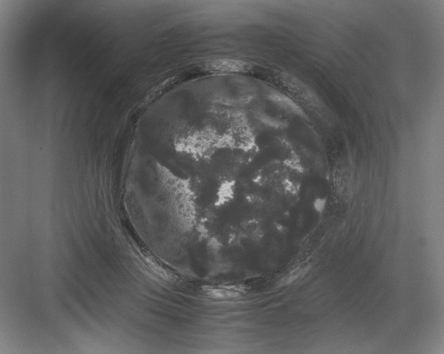 X0000082940359200702152220