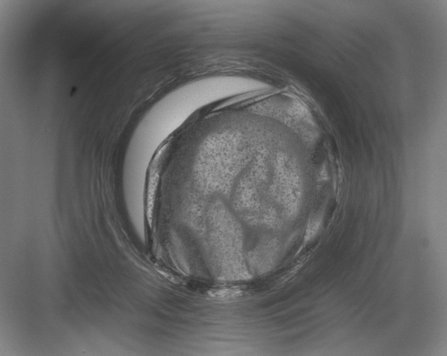 X0000082940362200702152220