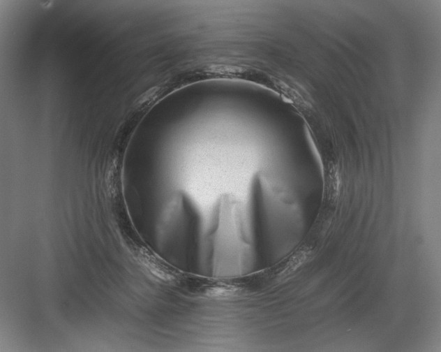 X0000082940364200702152220