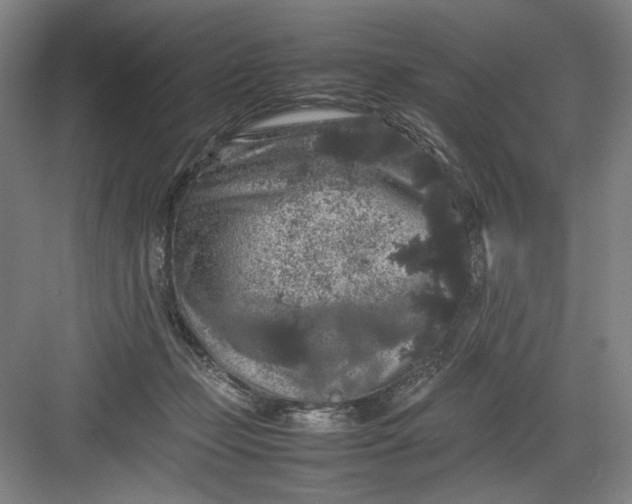 X0000082940365200702152220