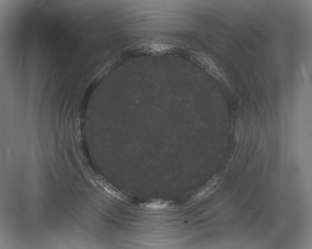 X0000082940366200702152220