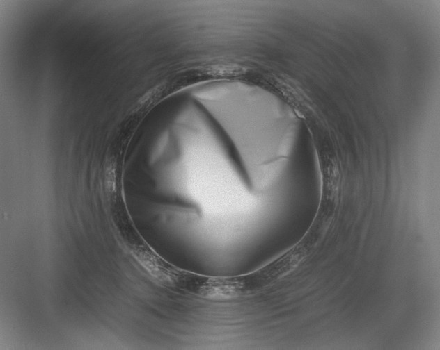 X0000082940368200702152220