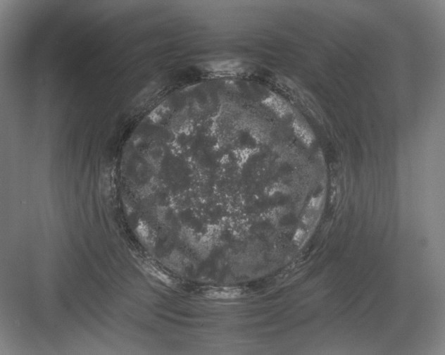 X0000082940369200702152220