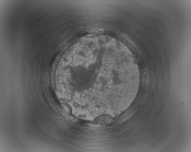 X0000082940370200702152220