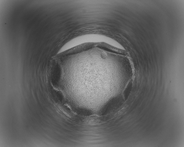 X0000082940372200702152220