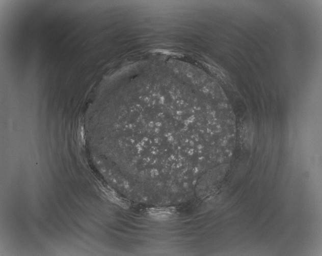 X0000082940373200702152220