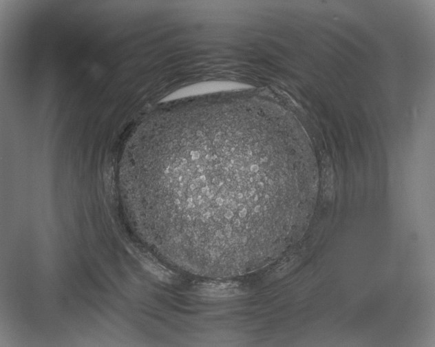 X0000082940375200702152220