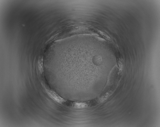 X0000082940376200702152220