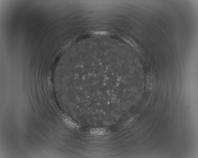 X0000082940377200702152220