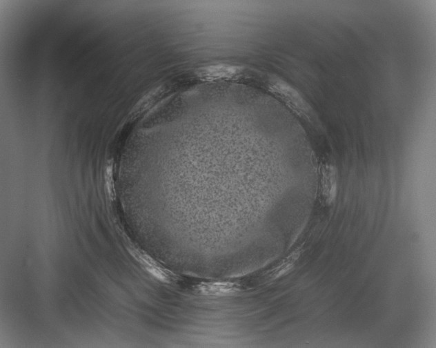 X0000082940378200702152220