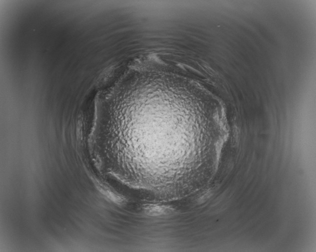 X0000082940379200702152220