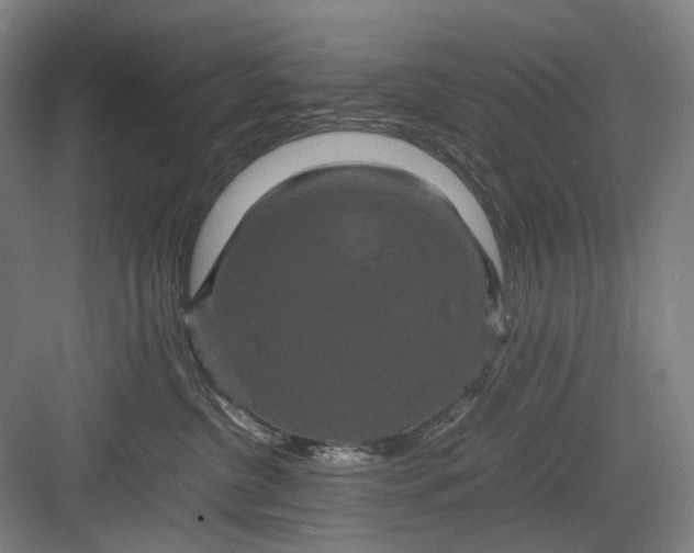 X0000082940380200702152220