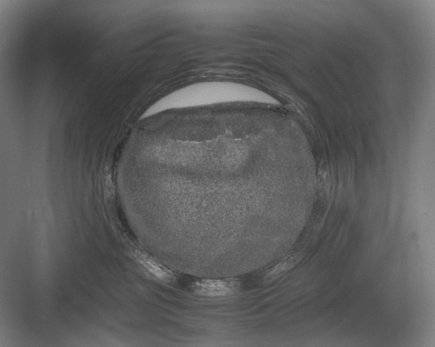 X0000082940381200702152220