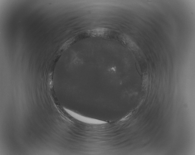 X0000082940383200702152220