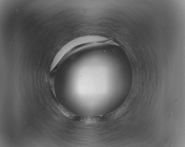 X0000082940384200702152220