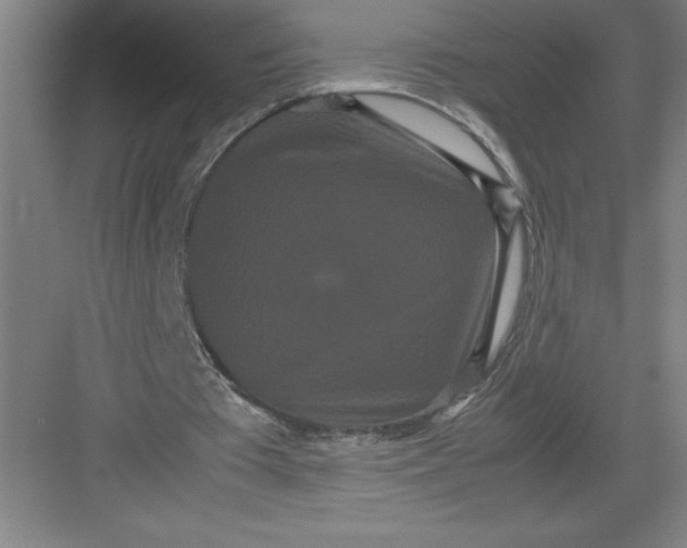 X0000082940385200702152220