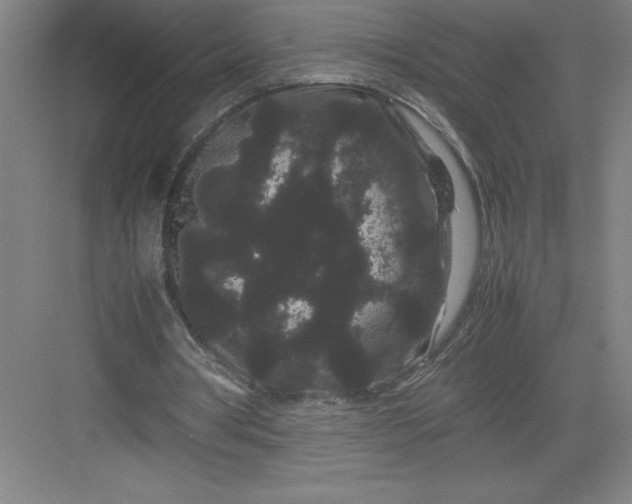 X0000082940386200702152220