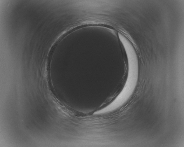 X0000082940387200702152219