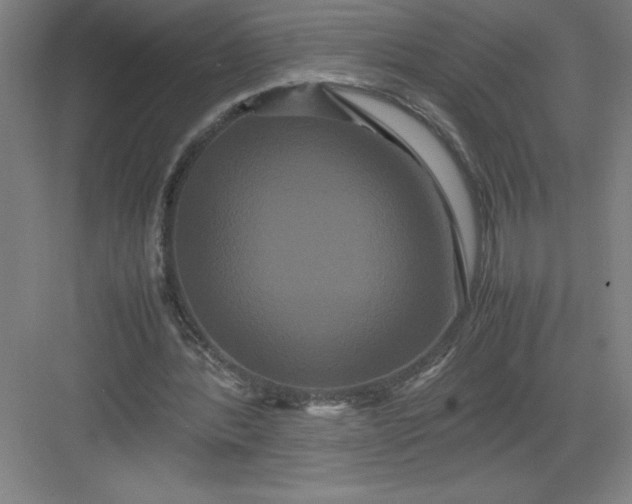 X0000082940388200702152219