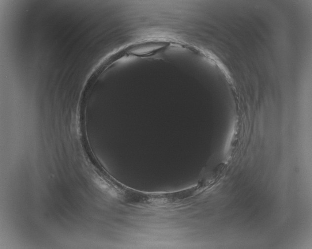 X0000082940391200702152219