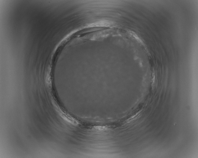 X0000082940392200702152219