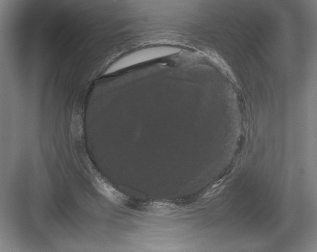 X0000082940393200702152219