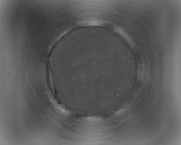 X0000082940394200702152219