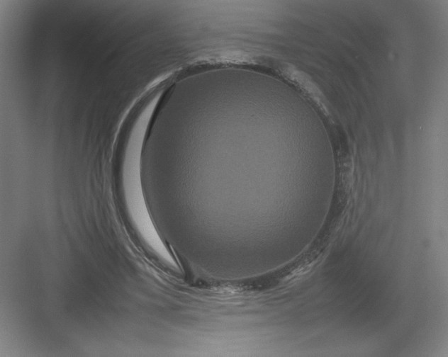 X0000082940395200702152219