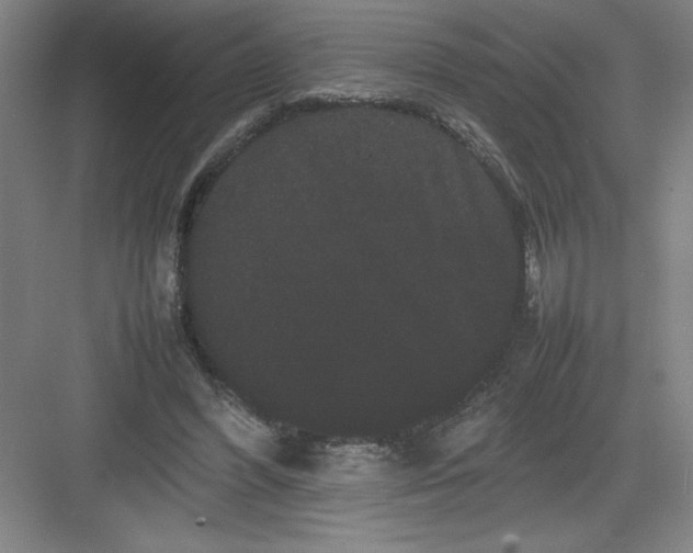 X0000082940396200702152219