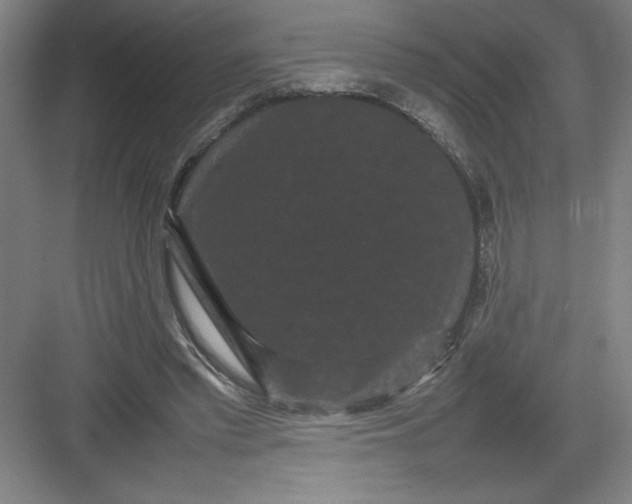 X0000082940397200702152219