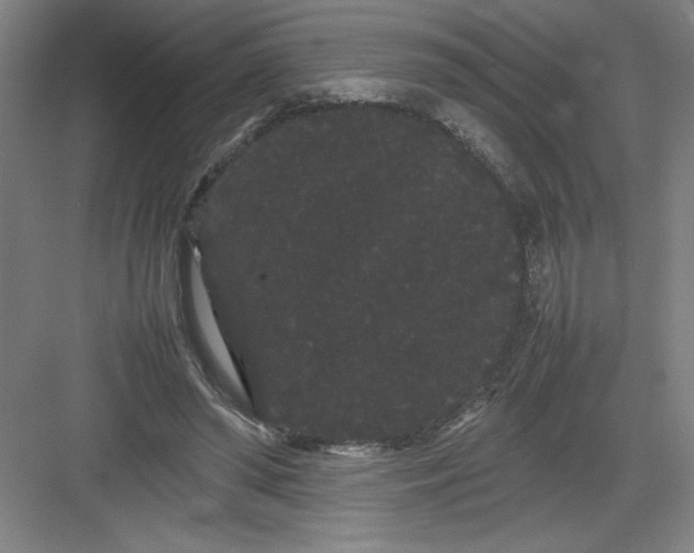 X0000082940398200702152219