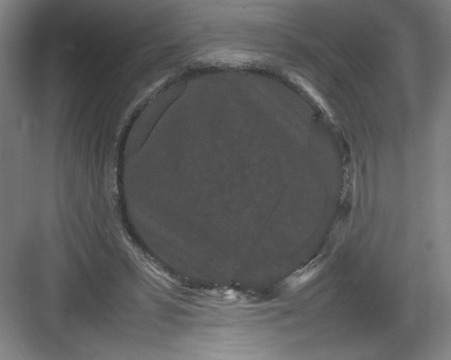 X0000082940399200702152219