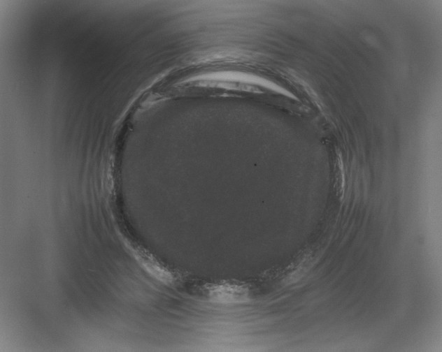 X0000082940400200702152219