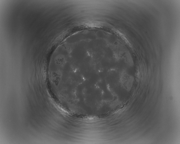 X0000082940402200702152219