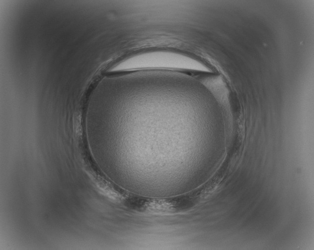 X0000082940403200702152219