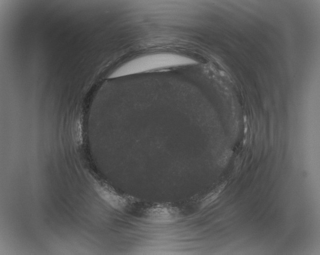 X0000082940404200702152219