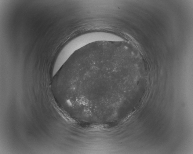 X0000082940405200702152219