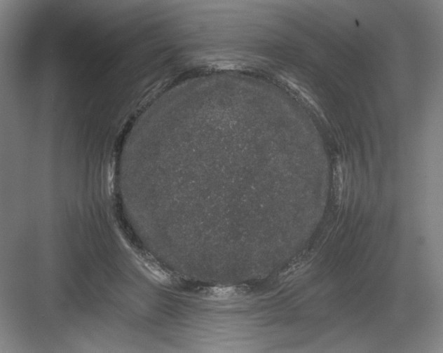 X0000082940406200702152219