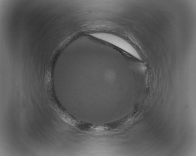 X0000082940407200702152219